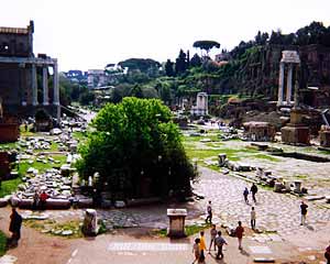 Forum Rome