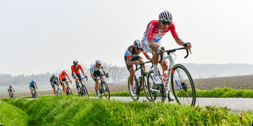 Ronde van Vlaanderen 2019: Mathieu van der Poel