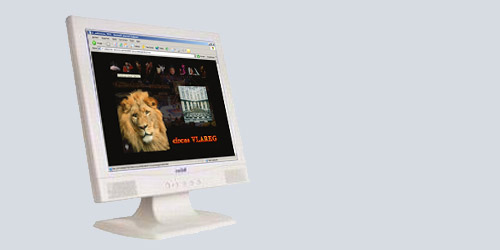 Screenshot website circus VLAREG