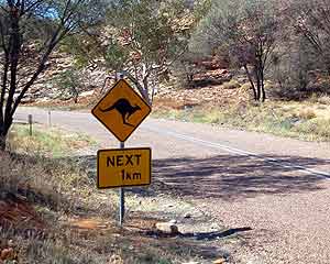 een verkeersbord met een kangoeroe op