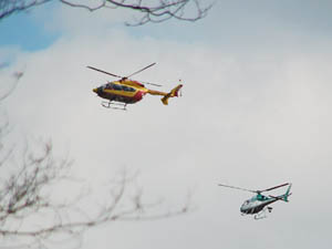 Helikopters boven het bos van Wallers.