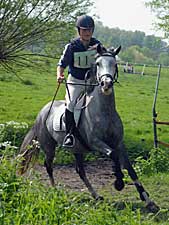 Paardencross Zwijnaarde.