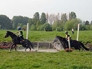 Paardencross Zwijnaarde.