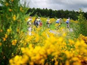 Belgisch Kampioenschap wielrennen 2013 in La Roche