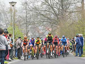 Ronde van Vlaanderen 2019